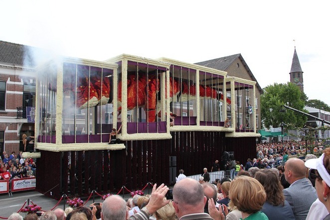 Bloemencorso-Zundert-2013-le-hoi-hoa-lon-nhat-the-gioi-o-Ha-Lan